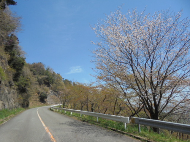 イメージ 8