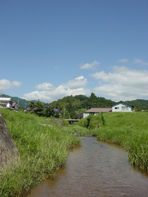 イメージ 1