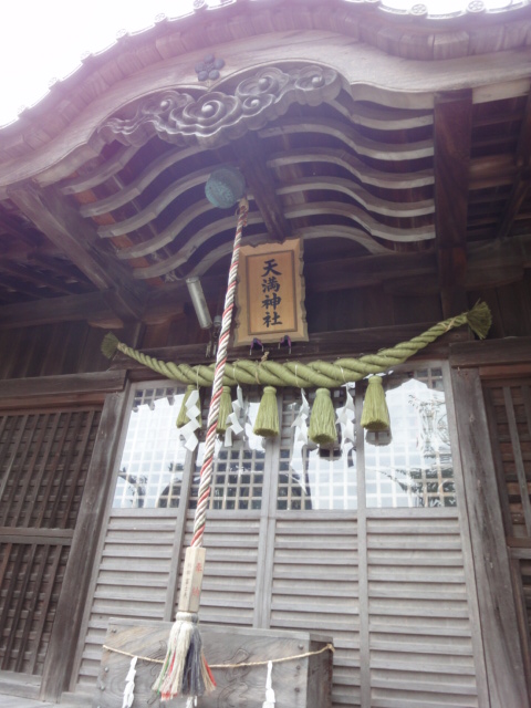 イメージ 5