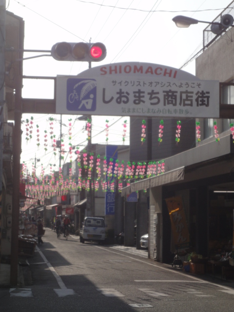 イメージ 8
