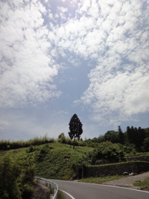イメージ 4