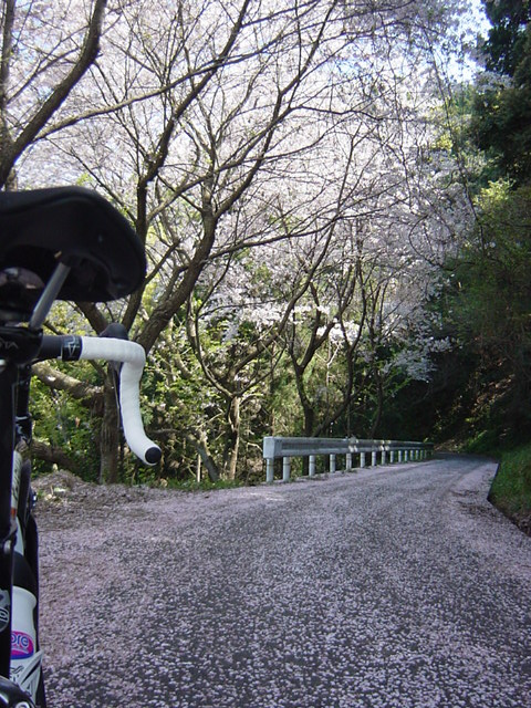 イメージ 2
