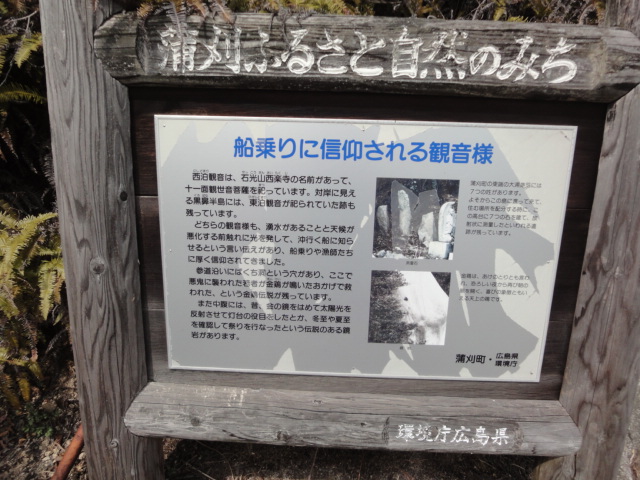 イメージ 7