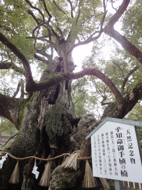 イメージ 6