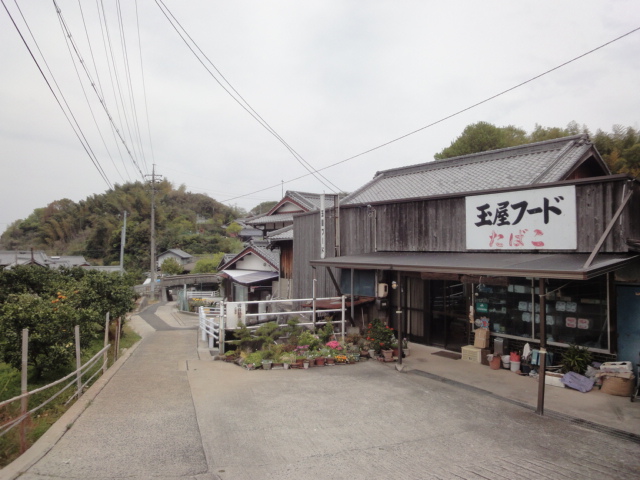 イメージ 13