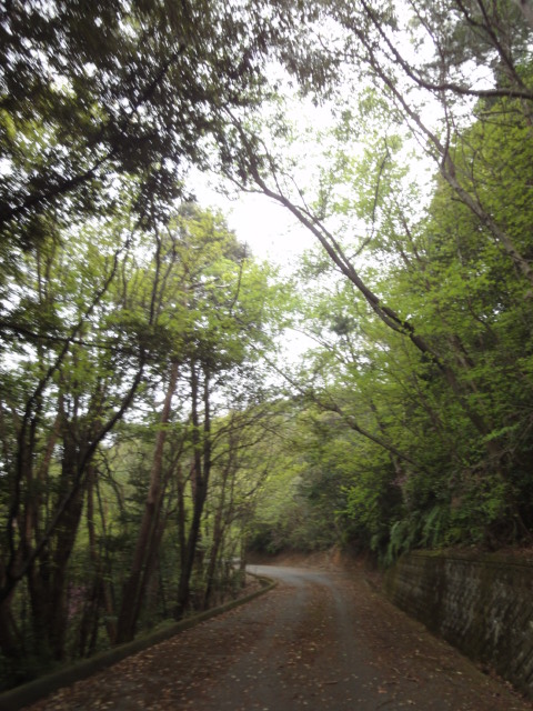 イメージ 10