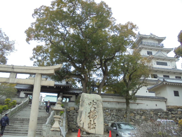 イメージ 11
