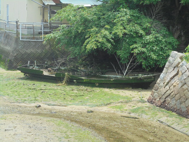 イメージ 5