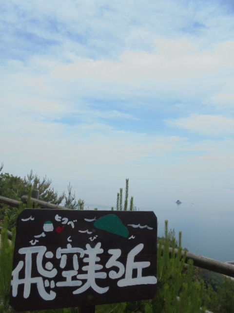 イメージ 7