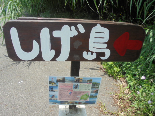 イメージ 9