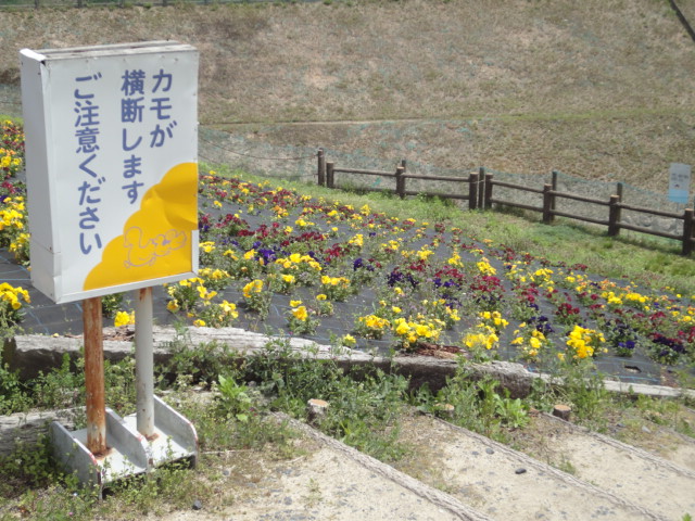 イメージ 4