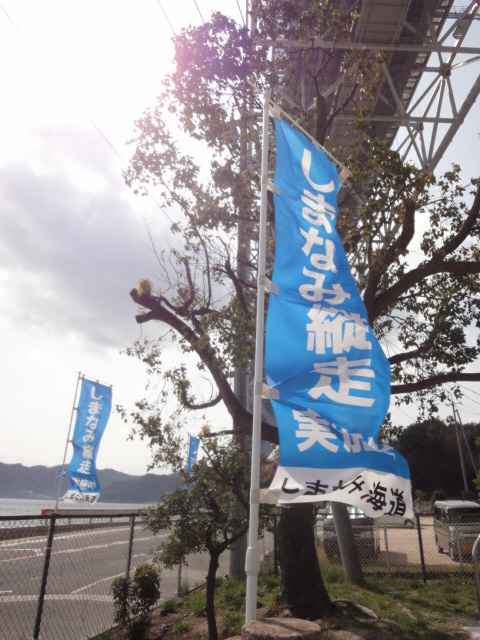イメージ 7