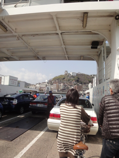 イメージ 8