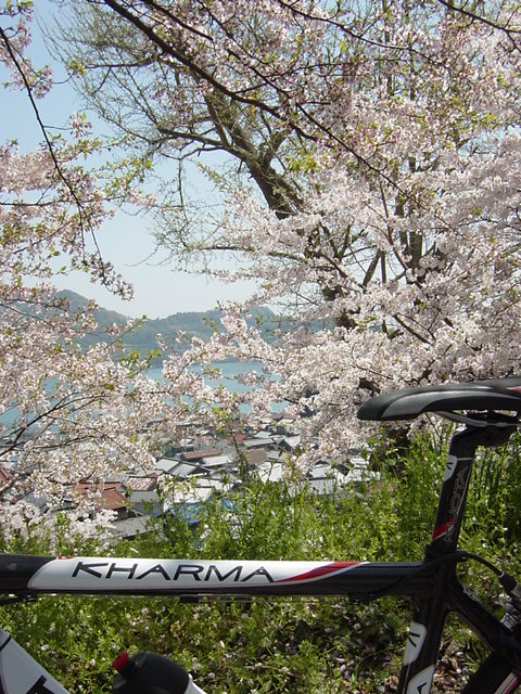 イメージ 2