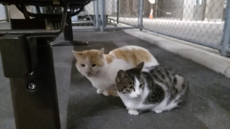 イメージ 2