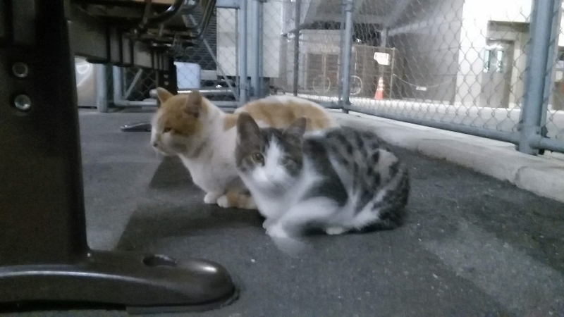 イメージ 3