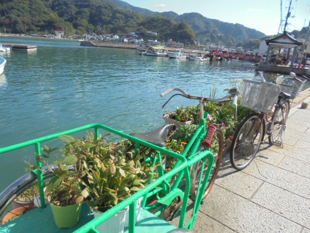 イメージ 6