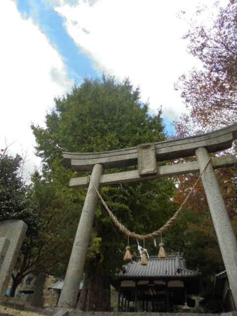 イメージ 9