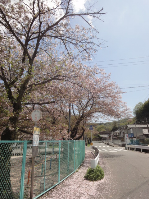 イメージ 7