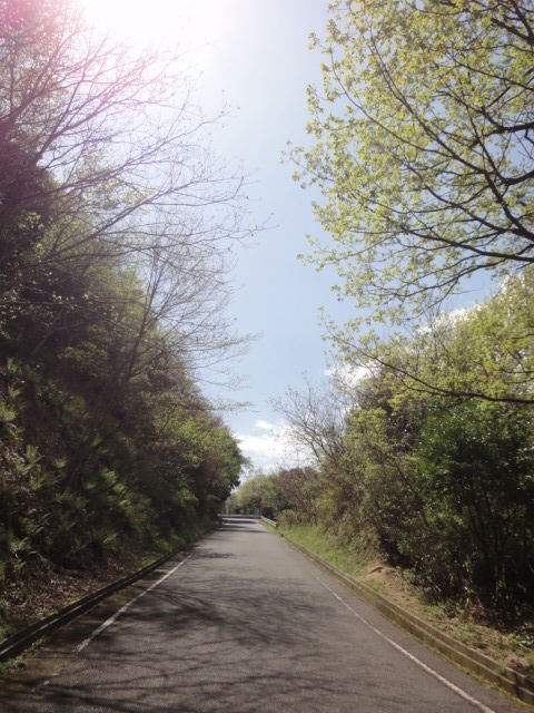 イメージ 9