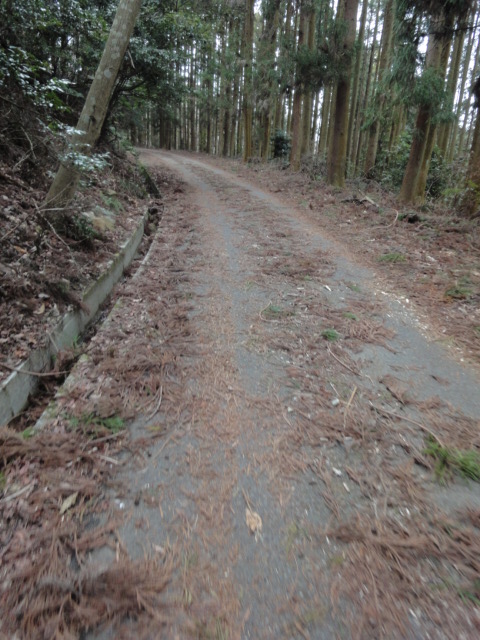 イメージ 3