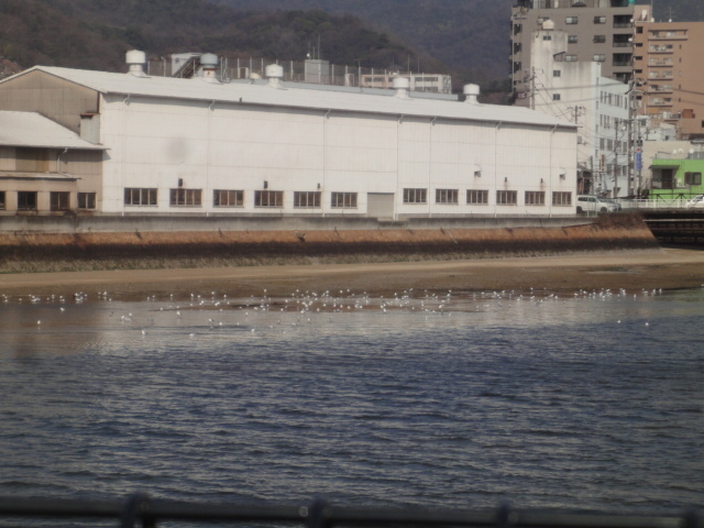 イメージ 6