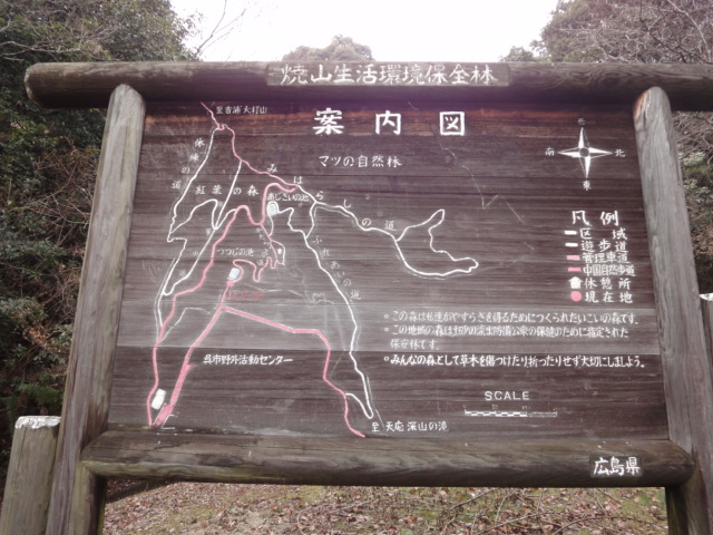 イメージ 6