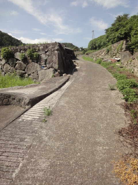 イメージ 9