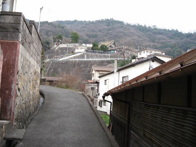 イメージ 6