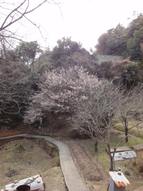イメージ 3