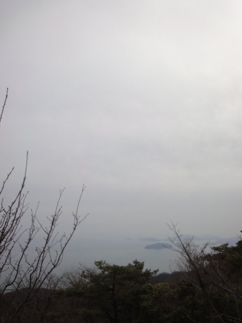 イメージ 8