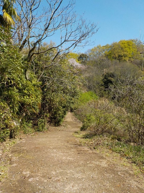 イメージ 3