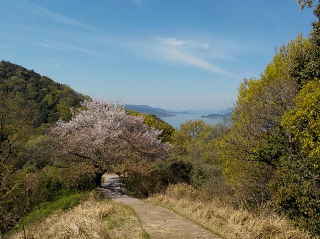イメージ 7