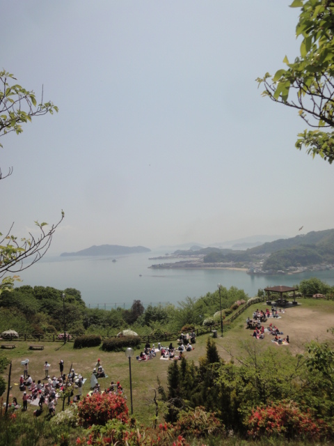 イメージ 6