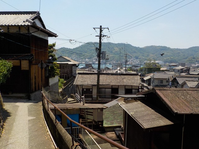 イメージ 3