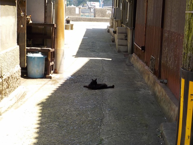 イメージ 9