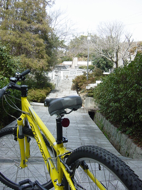 イメージ 3