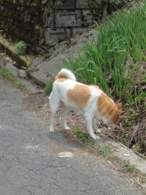 イメージ 2
