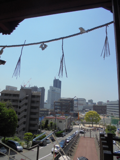 イメージ 8
