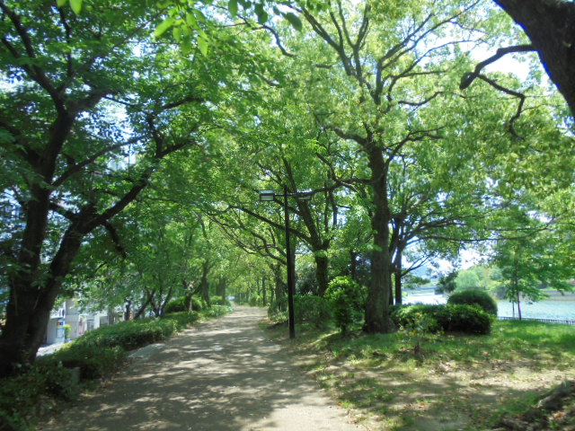 イメージ 10
