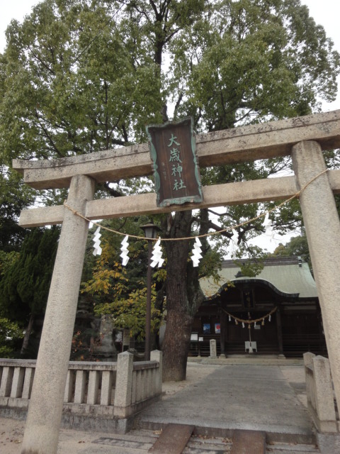 イメージ 6