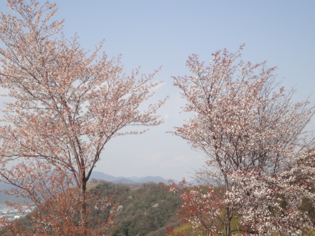 イメージ 4