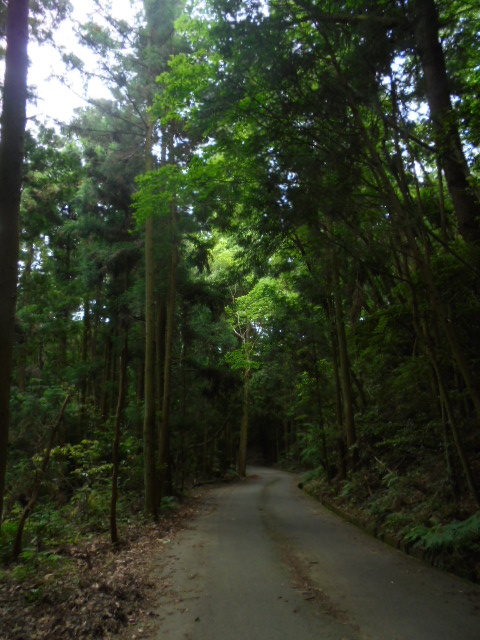 イメージ 8