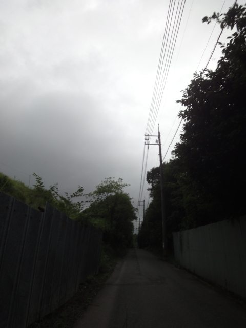 イメージ 12