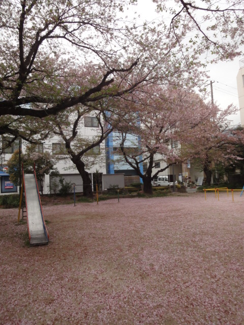 イメージ 8
