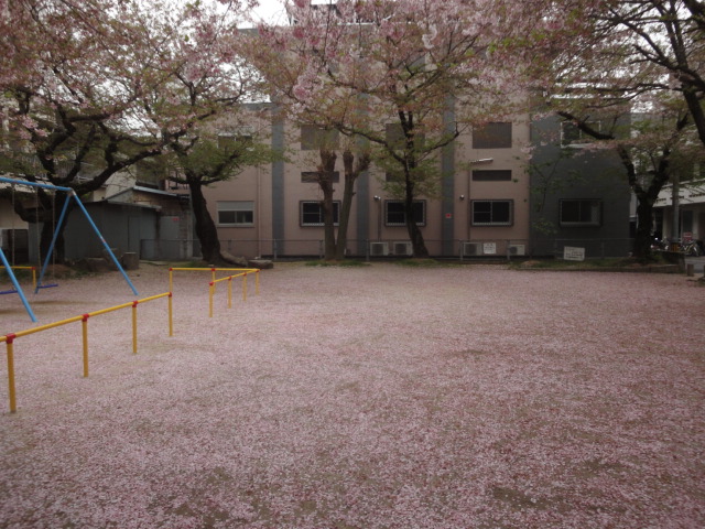 イメージ 9