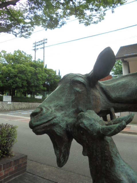 イメージ 10