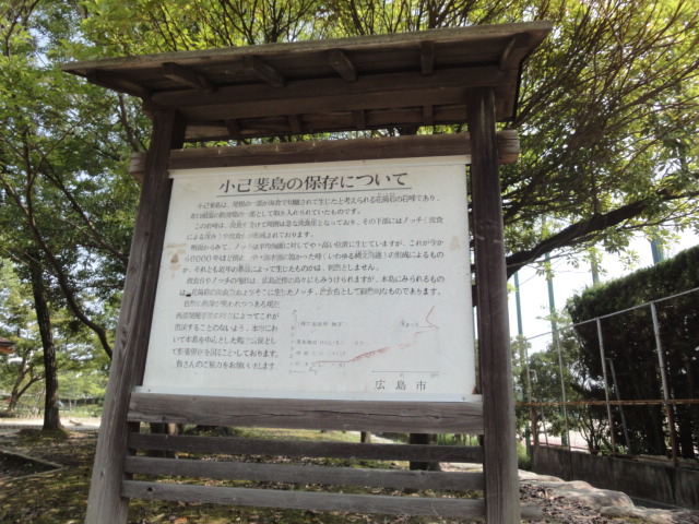 イメージ 9