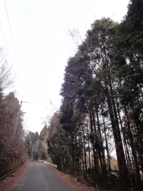 イメージ 5
