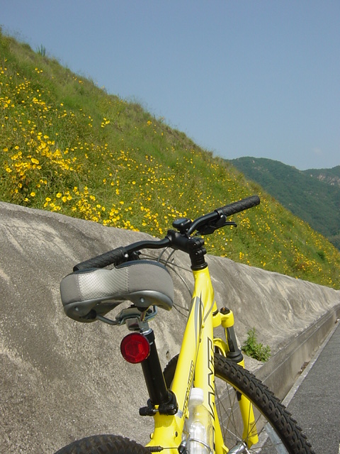イメージ 3